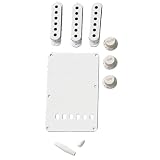 Fender フェンダー パーツ VINTAGE-STYLE STRATOCASTER ACCESSORY KIT AGED WHITE 991362000