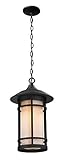 Z-Lite 527CHB-BK Outdoor Chain Light with Black Metal Finish, Matte Opal by Z-Lite