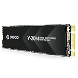 ORICO Y20M M.2 SATA SSD 256GB内蔵 M.2 NGFF 2280 SSD SATA III 6.0Gb s 最大読