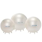 GYMNIC(ギムニク) パールシッティング 55 BRQ パール 【Wアクションポンププレゼント】 LP-8975