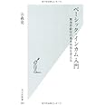 ベーシック・インカム入門 (光文社新書 389)