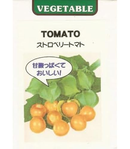 Amazon | イエロートマティーヨ（食用ホオズキ)の種（20粒） | 野菜