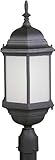Forte Lighting 17010-01-04 Energy Efficient 1LT CFL Exterior Post Mount, Black Finish with Frosted S