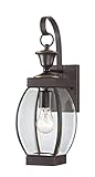 Quoizel OAS8406Z Oasis 17-Inch H. 1 Light Outdoor Wall Lantern [並行輸入品]