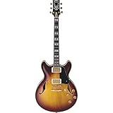 Ibanez アイバニーズ JSM100VT John Scofield シグネチャー エレキギター Vintage Sunburst エレキギター エレクトリックギター (並行輸入)
