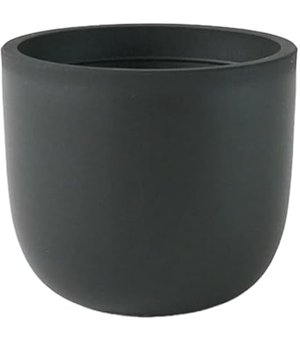 Amazon.co.jp: 【単品】Maceta Plastic Pot【BowlMid】マセタ プラ鉢