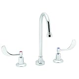 Speakman Commander SC-3004-LD-E Gooseneck Widespread Lavatory Faucet [並行輸入品]