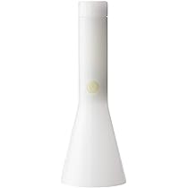 31080jU-bdS._AC_UL210_SR210,