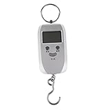 Fenteer 携帯式スケール　吊りはかり　デジタル　フック付　自動機能　多機能　50kg容量　旅行　屋外　商売　買い物　全３タイプ - シルバーラウンドハンドル