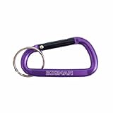 ビッグマン(BIGMAN) カラビナ(CARABINER) 60mm AFC1-6PL パープル