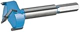 Roman Carbide DC1901 Carbide Forstner Bit, 35mm [並行輸入品]