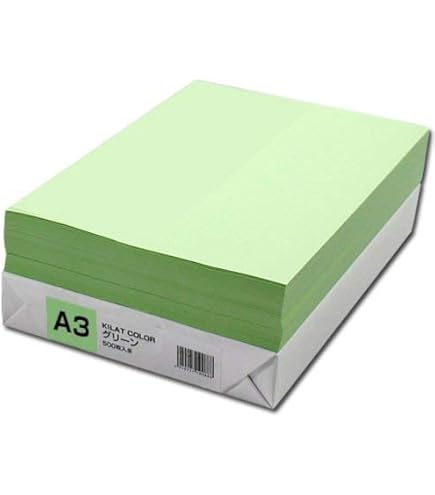 Amazon.co.jp: 理想科学工業 RISOマスターFⅡタイプAE S-8131