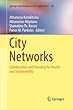 City Networks: Collaboration and Planning for Health and Sustainability (Springer Optimization and Its Applications)