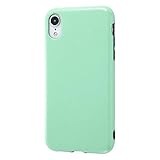 レイ・アウト iPhone XR ケース TPU 耐衝撃 Light Pastel ペールグリーン
