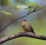 �쒹����`��������Ɖ��y�`2.�ˉB����(����)��