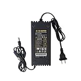 12.6V5A リチウム電池充電器ファン付き 12V リチウム電池充電器 60A 40A 80A(Output round head DC male 5.5mm)