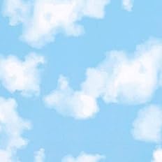 Amazon サンゲツ Faith フェイス 糊なし のり無し壁紙 クロス キッズ Kids 青空 スカイ 雲 Th308 旧th9310 1m 注文数 巾92cm 防かび 表面強化 壁紙