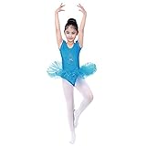 バレエ服 Ballet バレエ ダンス 練習 ワンピース ドレス 女の子 バレエドレス 体操服 (110, ブルー)