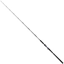 310dedxi5tL._AC_UL210_SR210,