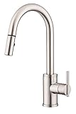 Danze D453558SS Parma Trim Line Single Handle Pull-Down Kitchen Faucet, Stainless Steel, Stainless S