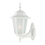 Acclaim 6111TW/FR Camelot Collection 1-Light Wall Mount Outdoor Light Fixture, Textured White [並行輸入品