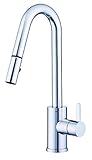 Danze D457030 Amalfi Snapback Single Handle Pull Down Kitchen Faucet, Chrome [並行輸入品]