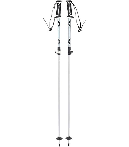 Amazon.co.jp: SINANO Ski Pole Free X AL 22-23 BK (Black/FF/Men's Amazon.co.jp: SINANO Ski Pole Free X AL 22-23 BK (Black/FF/Men's