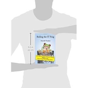 Boiling the It Frog: How to Make Your Business Information Technology Wildly Successful Without Having to Learn Anything Technical