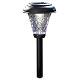 MR Payton 2X Plastic Pathlight