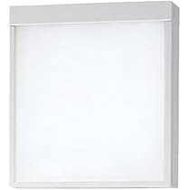 Amazon | パナソニック(Panasonic) LED誘導灯 天井埋込型 一般