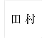 表札用名前シール 明朝体　表札用カッティングシート切文字 ﾌﾞﾗｯｸ 表札サイズ160ミリ角(160×160ﾐﾘﾀｲﾌﾟ板用) 田村