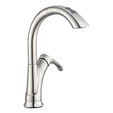 Pegasus 65717N-08104 Ginger Single-Handle Pull-Down Sprayer Kitchen Faucet in Brushed Nickel [並行輸入品]
