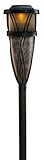 TIKI 1111218 Lamplight Flame and Solar Torch [並行輸入品]