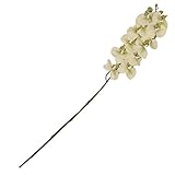 ALEKO folg23人工23インチゴージャスなOrchid Flowerカラーライトグリーン