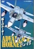 F/A-18 �͏�̃��[�L�[