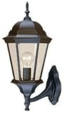 Acclaim 5250BK Richmond Collection 1-Light Wall Mount Outdoor Light Fixture, Matte Black [並行輸入品]