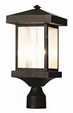Trans Globe Lighting 45644 WB 2-Light Post Lantern, Weather Bronze [並行輸入品]