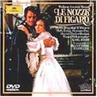 �t�B�K���̌���*�̌�