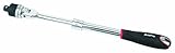 AMPRO T29931 1/2-Inch Drive Extendable Flex Ratchet 18-Inch to 24-Inch [並行輸入品]