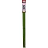 渡辺泰 観葉・蘭用パイプ 10本パック 4.0x800mm