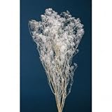 ~Coco Heart~　プリザーブド　ソフトカスミ草　白 ( ハーバリウム、アロマワックス、母の日、ハロウィン、クリスマス　プリザブドフラワー・リース）