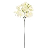 MAGIQ 東京堂 上質な造花  プルメリアグランデ  クリーム FM006611-001