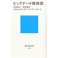 ビッグデータ探偵団 (講談社現代新書)