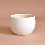 信楽焼 丸玉鉢中 山野草鉢 3号 幅 9cm × 高 6 cm