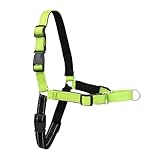PetSafe デラックス イージーウォークハーネス 犬 ハーネス 小型犬 引っ張り防止 調整簡単 ネオプレン 抜けない 耐久性が高い 夜間反射 中型犬（S アップルグリーン/ブラック）