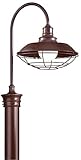 Troy Lighting Circa 1910 1-Light Outdoor Post Lantern - Old Rust Finish [並行輸入品]