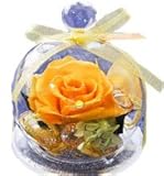 花由 プリザーブドフラワー 12星座 【ふたご座】 黄 フラワーギフト ブリザードフラワー 誕生日プレゼント 女性 結婚祝い お祝い 花