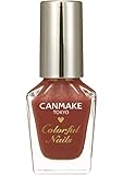 キャンメイク カラフルネイルズN14 レディテラコッタ 8ml