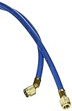 Yellow Jacket 21312 Plus II Hose Standard 1/4 Flare Fittings, 12, Blue by Yellow Jacket