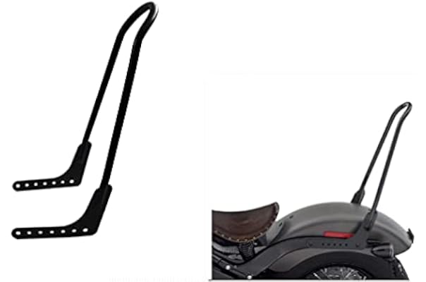 エストレア ※ タンデム シーシーバー 二人乗り バックレスト cat-clean.jp